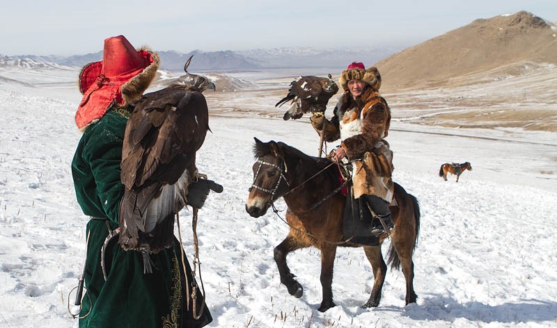 hunting with golden eagle mongolia 